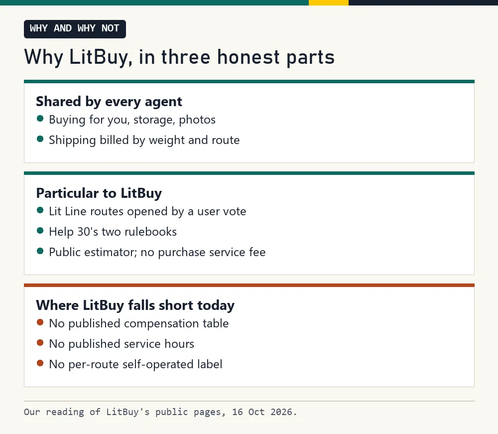 Three cards: what all agents share, what is particular to LitBuy, when another agent may suit you