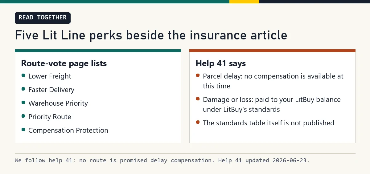 Two columns: the five Lit Line perk labels beside what help 41 says about delay, damage and loss